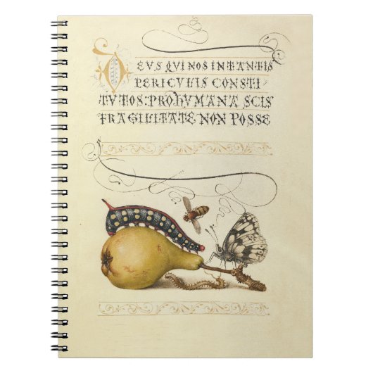 Illustratie ter illustratie van de insekte van vli notitieboek (Voorkant)