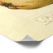 Illustratie ter illustratie van de insekte van vli poster (Hoek)