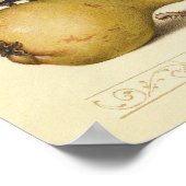 Illustratie ter illustratie van de insekte van vli poster (Hoek)