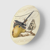 Illustratie ter illustratie van de insekte van vli ronde klok (Hoek)