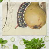 Illustratie ter illustratie van de insekte van vli theedoek (Gevouwen)