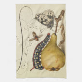 Illustratie ter illustratie van de insekte van vli theedoek (Verticaal)