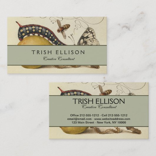 Illustratie ter illustratie van de insekte van vli visitekaartje (Voorkant / Achterkant)