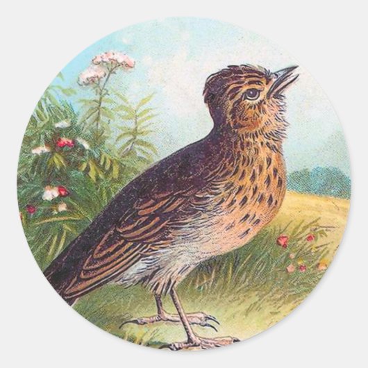  illustratie "The Lark" Ronde Sticker (Voorkant)