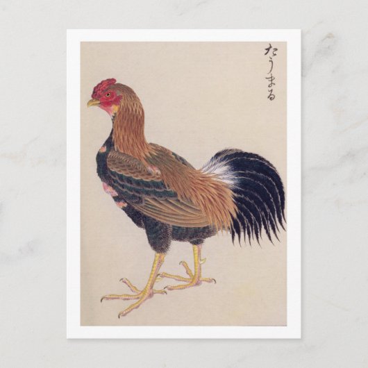  illustratie: Tomaru Briefkaart (Voorkant)