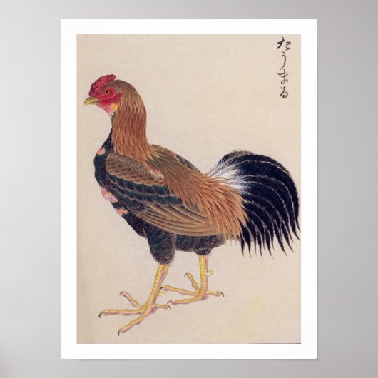  illustratie: Tomaru Poster (Voorkant)