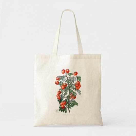  illustratie tomatentwijn tote bag (Voorkant)
