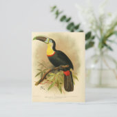 Illustratie toucan briefkaart (Staand voorkant)