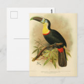 Illustratie toucan briefkaart (Voorkant / Achterkant)