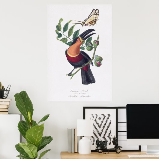  illustratie Toucan vogelmuurkunst Poster (Thuiskantoor)
