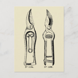 ILLUSTRATIE Tuinieren Tool Pruners P Briefkaart