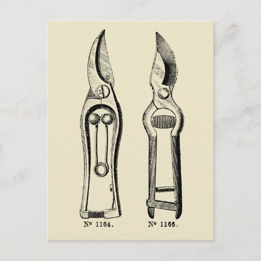 ILLUSTRATIE Tuinieren Tool Pruners P Briefkaart (Voorkant)