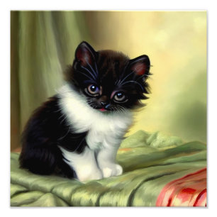  illustratie Tuxedo Kitten Foto Afdruk