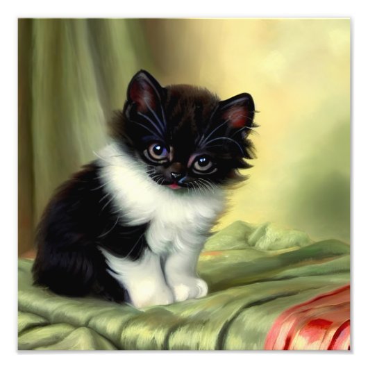 illustratie Tuxedo Kitten Foto Afdruk (Voorkant)