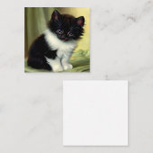 illustratie Tuxedo Kitten Informatiekaartje (Voorkant / Achterkant)