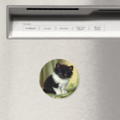 illustratie Tuxedo Kitten Magneet (Insitu (Vaatwasser))