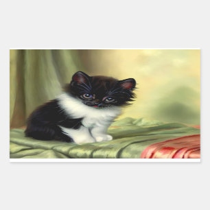  illustratie Tuxedo Kitten Rechthoekige Sticker