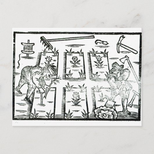 Illustratie uit een boek over tuinbouw briefkaart (Voorkant)