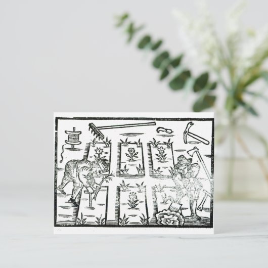 Illustratie uit een boek over tuinbouw briefkaart (Staand voorkant)