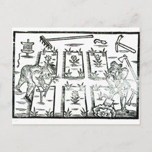 Illustratie uit een boek over tuinbouw briefkaart