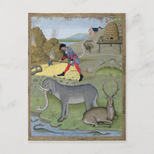 Illustratie uit het 'Boek van Eenvoud' Briefkaart