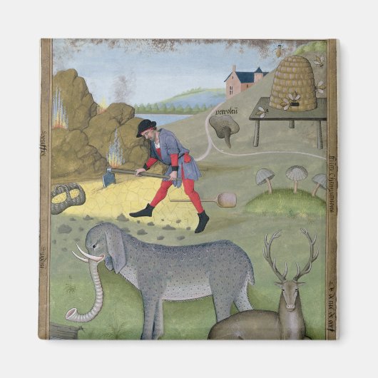 Illustratie uit het 'Boek van Eenvoud' Magneet (Voorkant)