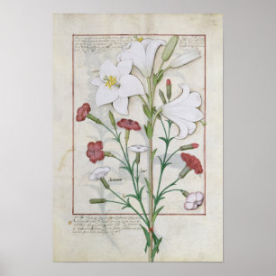 Illustratie uit het 'Boek van Eenvoud' Poster