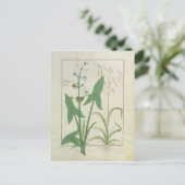 Illustratie uit het "Boek van eenvoudige geneesmid Briefkaart (Staand voorkant)