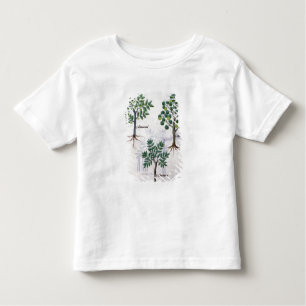 Illustratie uit het "Boek van eenvoudige geneesmid Kinder Shirts