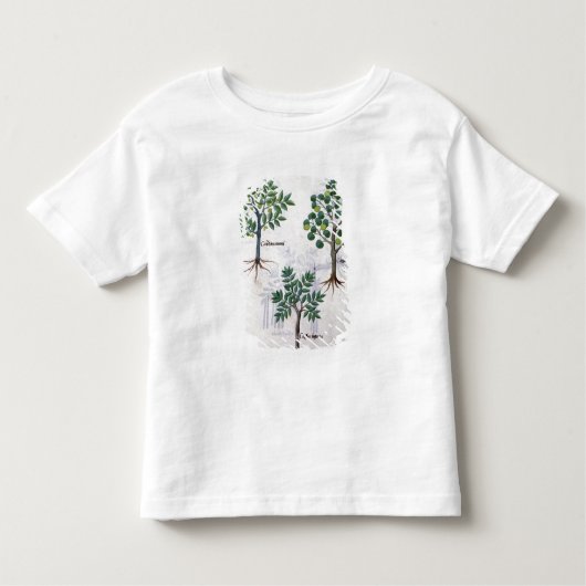Illustratie uit het "Boek van eenvoudige geneesmid Kinder Shirts (Voorkant)