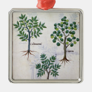 Illustratie uit het "Boek van eenvoudige geneesmid Metalen Ornament