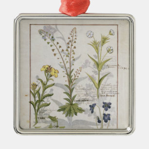 Illustratie uit het "Boek van eenvoudige geneesmid Metalen Ornament