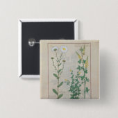 Illustratie uit 'The Book of Simple' Vierkante Button 5,1 Cm (Voorkant /achterkant)