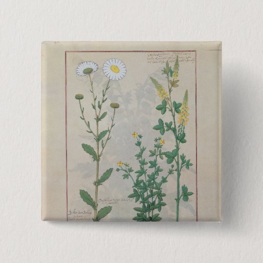 Illustratie uit 'The Book of Simple' Vierkante Button 5,1 Cm (Voorkant)