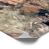 Illustratie uit The Secret Garden  Poster (Hoek)