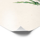  illustratie van 1902 dagen oude wilde bloem foto afdruk (Hoek)