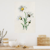  illustratie van 1902 dagen oude wilde bloem poster (Keuken)