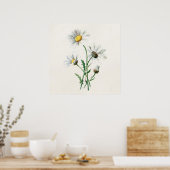  illustratie van 1902 dagen oude wilde bloem poster (Keuken)