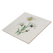 illustratie van 1902 dagen oude wilde bloem tegeltje (Zijkant)