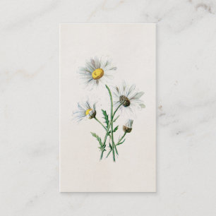 illustratie van 1902 dagen oude wilde bloem visitekaartje