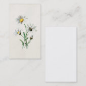 illustratie van 1902 dagen oude wilde bloem visitekaartje (Voorkant / Achterkant)