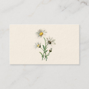 illustratie van 1902 dagen oude wilde bloem visitekaartje