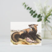 Illustratie van American Cross Fox (Canis vulpes) Briefkaart (Staand voorkant)