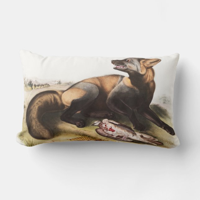 Illustratie van American Cross Fox (Canis vulpes) Kussen (Voorkant)