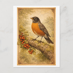 Illustratie van Amerikaanse Roodborst in vintage-s Briefkaart