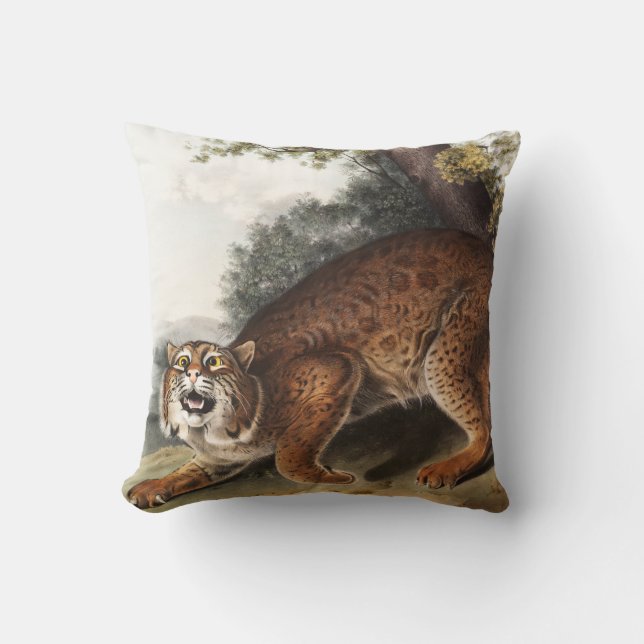 Illustratie van Amerikaanse wilde kat (Lynx rufus) Kussen (Voorkant)