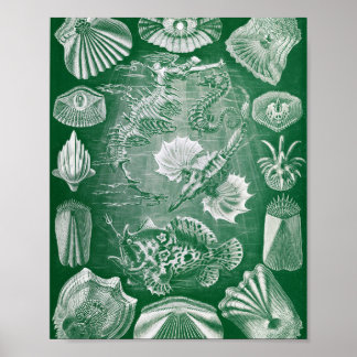 Illustratie van antieke benige vissen uit de marie poster