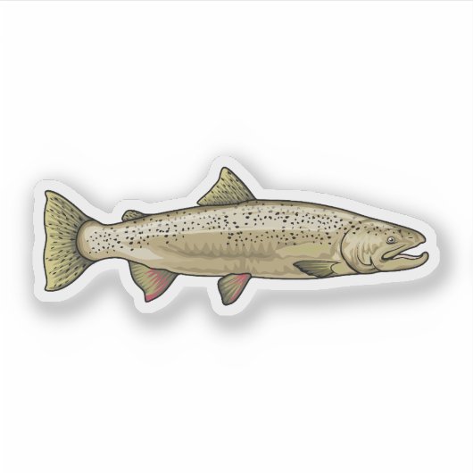 Illustratie van Atlantische zalm Sticker (Voorkant)