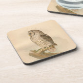 Illustratie van Barred Owl Bier Onderzetter (Linkerzijde)