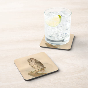 Illustratie van Barred Owl Bier Onderzetter